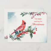 Weihnachts-Weihnachtsfeier, Roter Kardinal, Pausch Feiertagskarte (Vorne/Hinten)