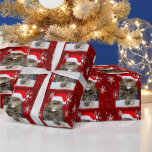 Weihnachts-Weihnachtskatze Humbug Foto Roter Schne Geschenkpapier<br><div class="desc">Weihnachtskatzenbild-Produkt. ⭐ PERSONALISIEREN Sie diese Vorlage mit Ihren Bildern. ⭐ EDIT weiter,  um weitere Änderungen vorzunehmen. ⭐ ÜBERTRAGEN dieses Design auf jedes Produkt. Besuchen Sie alle meine Geschäfte auf bit.ly/SandyspiderStores (schneiden und einfügen).</div>