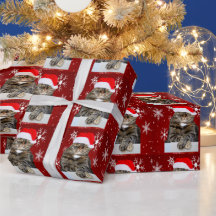 Weihnachts-Weihnachtskatze Humbug Foto Roter Schne