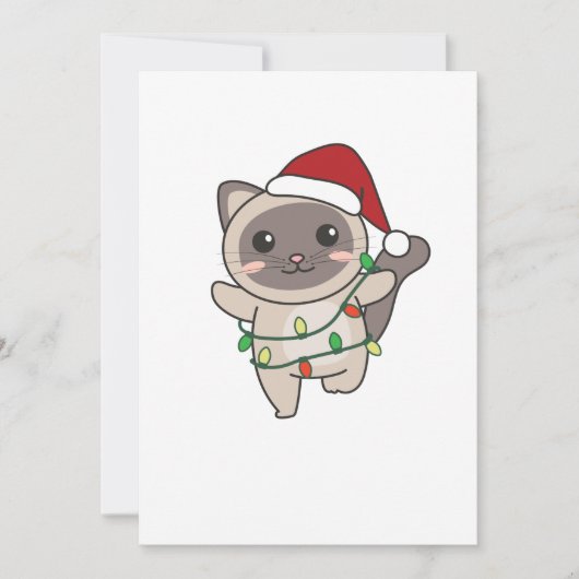 Weihnachts-Weihnachtskatzen Feiertagskarte (Vorderseite)