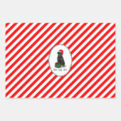 Weihnachts Weihnachtsmann Hat Rottweiler Dog Funny Geschenkpapier Set (Vorderseite 2)