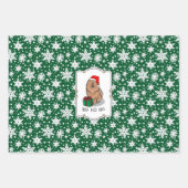 Weihnachts-Weihnachtsschmuck (Zimt) Niedlich Geschenkpapier Set (Vorderseite)