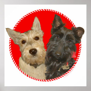 Weihnachts-Weizenrote und schwarze Scotties Poster