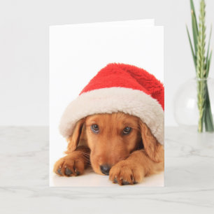 Weihnachts-Welpe, die eine Weihnachtsmannmütze trä Feiertagskarte