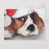 Weihnachts Welpen Hund Postkarte. Postkarte (Vorderseite)