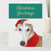 Weihnachts Windhund niedlicher Hundeschluss Postka Karte (Vorderseite)