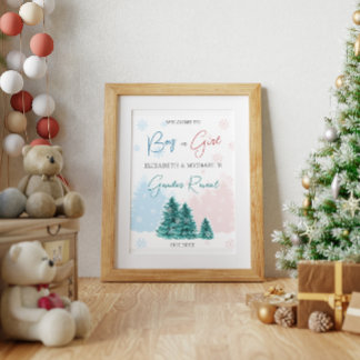 Weihnachts-Winter-Gender-Party Poster