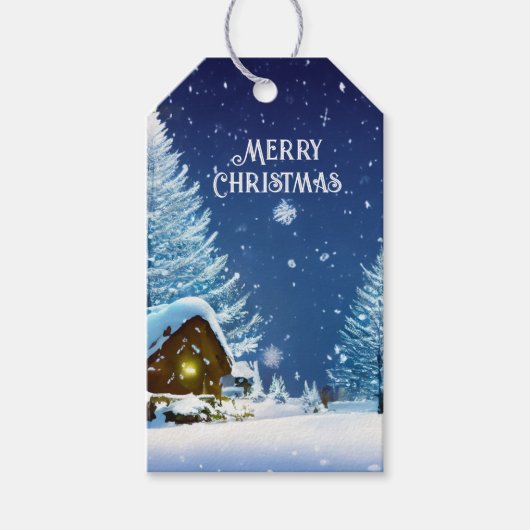 Weihnachts Winter Wonderland Festliche Schneezaube Geschenkanhänger (Vorderseite)