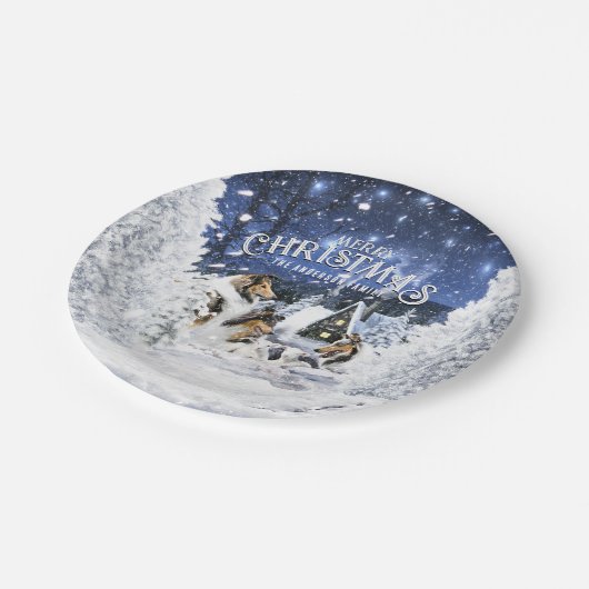 Weihnachts-Wintermärchen, Colliese und Lämmer - Pappteller (Schrägansicht)