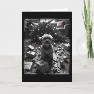 Weihnachts-Yorkshire-Terrier auf Kamera erwischt Karte