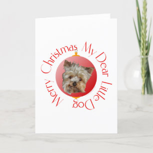 Weihnachts-Yorkshire-Terrier Feiertagskarte