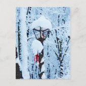 Weihnachtsabend Schneefall Feiertagspostkarte (Vorderseite)