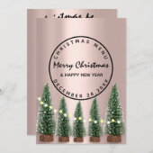 Weihnachtsabend Wintermenü Leichte grüne Rose Menükarte (Vorne/Hinten)