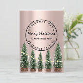 Weihnachtsabend Wintermenü Leichte grüne Rose Menükarte (Stehend Vorderseite)