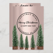 Weihnachtsabend Wintermenü Rose Grün Menükarte (Vorne/Hinten)