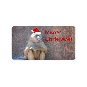 Weihnachtsaffen und Baboons Adressaufkleber