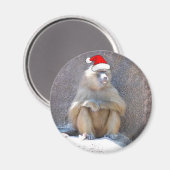 Weihnachtsaffen und Baboons Magnet (Vorderseite/Rückseite)