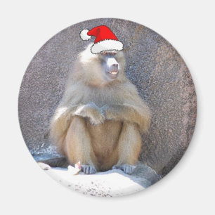Weihnachtsaffen und Baboons Magnet