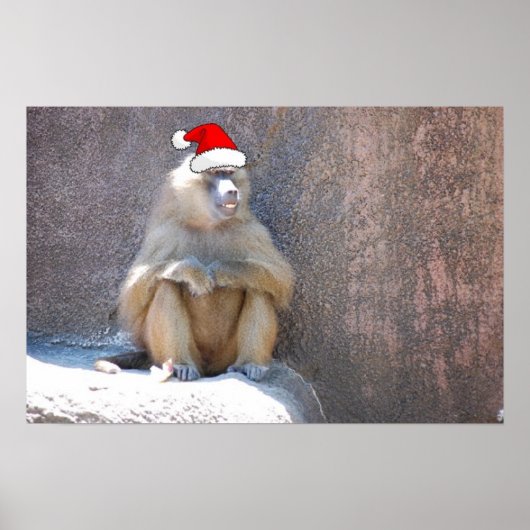 Weihnachtsaffen und Baboons Poster (Vorne)