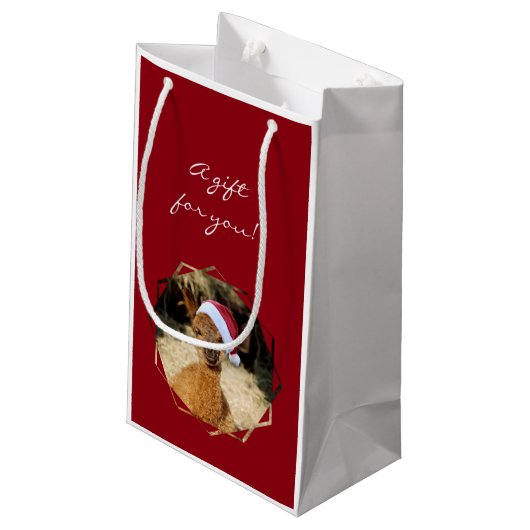Weihnachtsalpaka-Geschenk-Tasche Kleine Geschenktüte (Rückseite Schrägansicht)