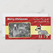 Weihnachtsaustralischer Viehhund/Kelpie Feiertagskarte (Vorderseite)