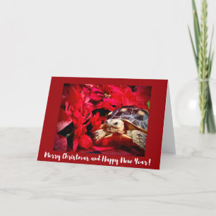 Weihnachtsbaby Sulcata Turtle und rote Poinsettias Karte