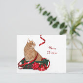 Weihnachtsbändchen Feiertagspostkarte (Stehend Vorderseite)