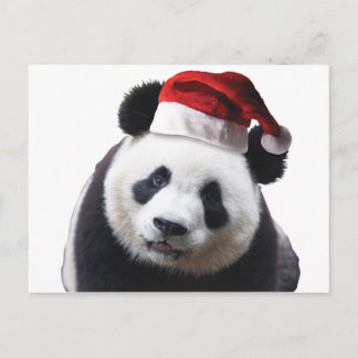 Weihnachtsbär mit Weihnachtsmannmütze Feiertagspostkarte