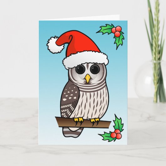 Weihnachtsbarot Owl Santa Feiertagskarte (Vorderseite)