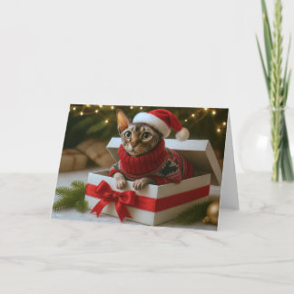 Weihnachtsbart & Falten Karte