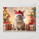 Weihnachtsbasen mit Weihnachtsmannmütze Feiertagspostkarte (Vorderseite)