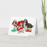 WeihnachtsBasset