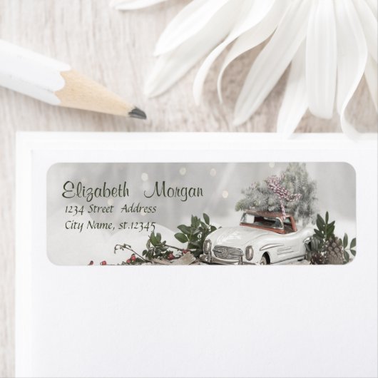 Weihnachtsbaum, Auto, Schnee (Insitu)