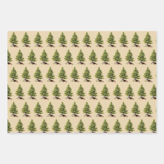 Weihnachtsbaum, Bär und Kiefernbaum Geschenkpapier Set (Vorderseite 2)
