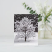 Weihnachtsbaum Feiertagspostkarte (Stehend Vorderseite)
