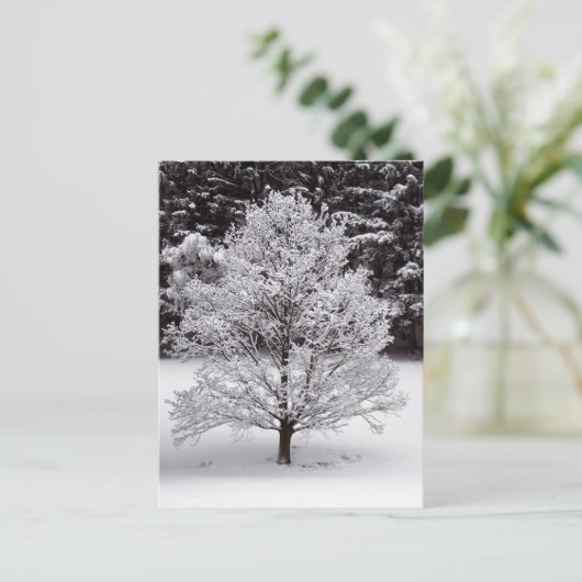 Weihnachtsbaum Feiertagspostkarte (Stehend Vorderseite)