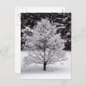 Weihnachtsbaum Feiertagspostkarte (Vorne/Hinten)