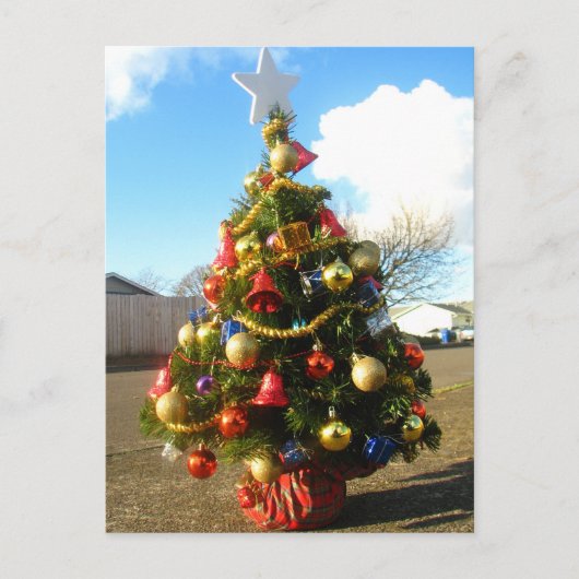 Weihnachtsbaum Feiertagspostkarte (Vorderseite)