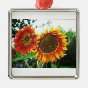 Weihnachtsbaum-Flora-Verzierung Ornament Aus Metall