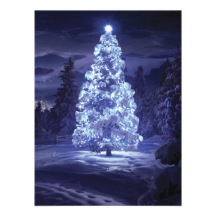Weihnachtsbaum Fotodruck