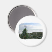 Weihnachtsbaum gegen Beach Rocks Magnet (Vorderseite/Rückseite)