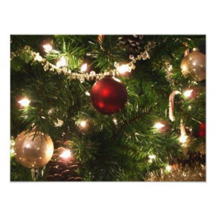 Weihnachtsbaum I Feiertag Hübscher grüner und rote Fotodruck