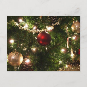Weihnachtsbaum I Urlaub Hübsch grün und rot Feiertagspostkarte