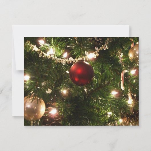 Weihnachtsbaum I Urlaub Hübsch grün und rot Karte (Vorderseite)