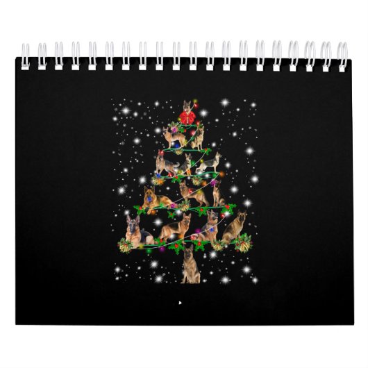 Weihnachtsbaum in Deutschland mit Lichteinfall Kalender (Titelbild)