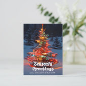 Weihnachtsbaum mit Lichtern draußen Feiertagspostkarte (Stehend Vorderseite)
