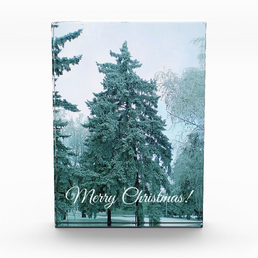 Weihnachtsbaum mit Schnee Fotoblock (Vorderseite)