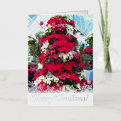 Weihnachtsbaum Poinsettia (Vorderseite)