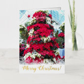 Weihnachtsbaum Poinsettia (Vorderseite)