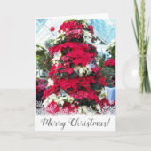 Weihnachtsbaum Poinsettia Feiertagskarte (Vorderseite)
